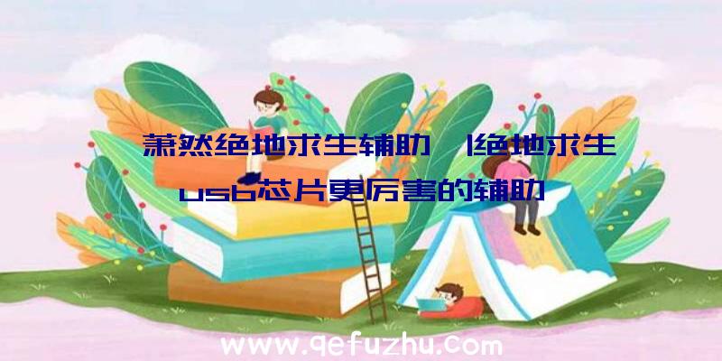 「萧然绝地求生辅助」|绝地求生usb芯片更厉害的辅助